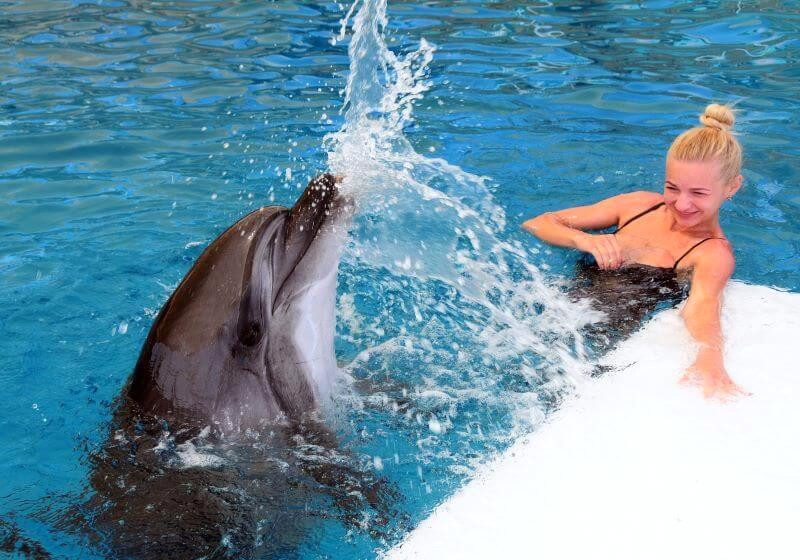 Где в Алании поплавать с дельфинами